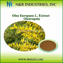 Reliable supplier olive leaf extract powder Oleuropein 10%/20%/40%